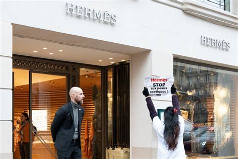 protest hermes|hermes stink bomb.